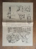Cumpara ieftin ZIOARUL &#039;&#039;BUTURUGA, PUBLICATIE DE SATIRA SI UMOR&#039;&#039;, ANUL 1, 1990 * NR 1
