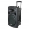 Boxa portabila 10 inch, USB, Bluetooth, MP3, 500 W, 2 microfoane