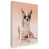 Tablou caine rasa Chihuahua Tablou canvas pe panza CU RAMA 80x120 cm