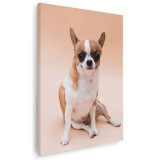 Tablou caine rasa Chihuahua Tablou canvas pe panza CU RAMA 20x30 cm