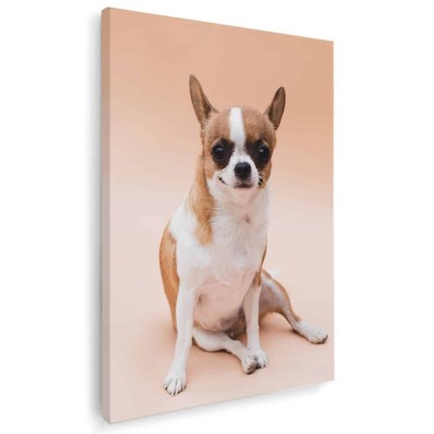 Tablou caine rasa Chihuahua Tablou canvas pe panza CU RAMA 40x60 cm foto