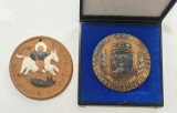Lot 2 Medalii Plachete an 2000 Suceava și Siret