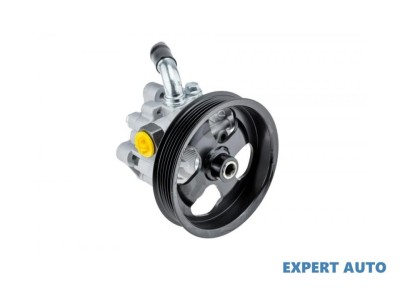 Pompa servo Chrysler Voyager 4 (2000-2008) [RG] #1 foto