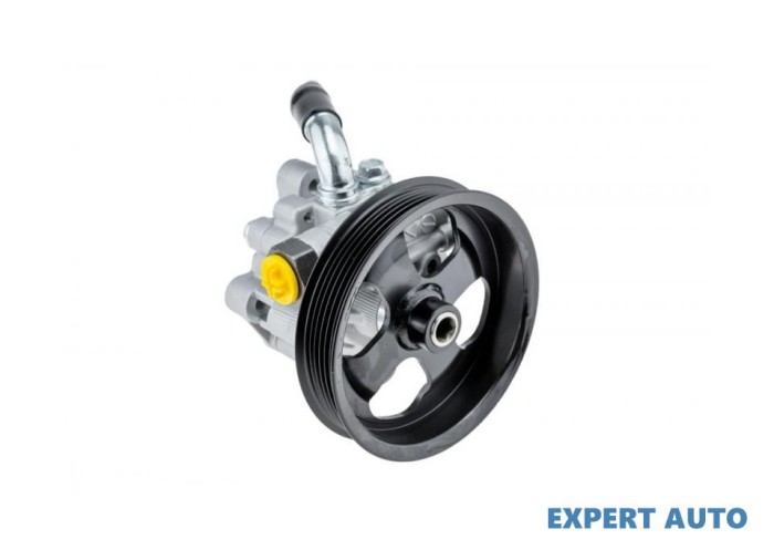 Pompa servo Chrysler Voyager 4 (2000-2008) [RG] #1
