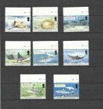 BRITISH INDIAN OCEAN TERRITORY 2005 FAUNA MARINA PESTI RECHINI SI PISICI DE MARE