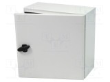 Carcasă montare pe perete SCHNEIDER ELECTRIC 400mm x 400mm x 200mm oţel IP66