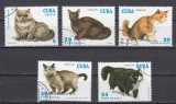 A12 S1 23 - Timbre foarte vechi - Cuba - rase de pisici - 1994