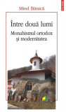 Intre Doua Lumi. Monahismul Ortodox Si Modernitatea, Mirel Banica - Editura Polirom