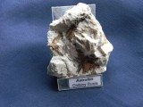 Specimen astrofilit (CV3M)