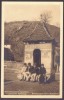 2018 - FAGARAS, Ethnic la Troita, Romania - old postcard - unused, Necirculata, Printata