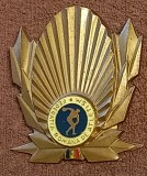 Placheta-medalie - Campion Republican de Seniori-Federatia Romana de ATLETISM