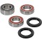 Kit Rulmenti roata spate Husqvarna Cr125 SM TC TE WR 2000-2013 All Balls 25-1420
