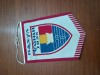 Fanion FRUMOS