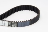 Curea distributie Alfa Romeo 145, 146, 147, 155; Fiat Barchetta, Brava, Bravo I; Lancia Dedra, Dedra Sw, Delta II Motor 1.7 T.S. 16V, dinti 168, 24