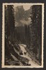 CPIB 21770 - CARTE POSTALA - DOLOMITI, STR CAREZZA, EDITURA FRANZL, BOLZANO, Necirculata, Fotografie