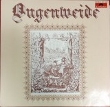 Ougenweide &ndash; Ougenweide, LP, Germany, 1976, stare foarte buna (VG), Rock, Polydor