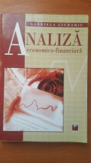 Analiza economico-financiara - Gabriela Ciurariu foto