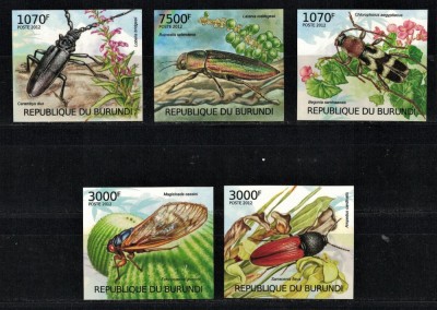 BURUNDI 2012 - Insecte / serie completa MNH foto