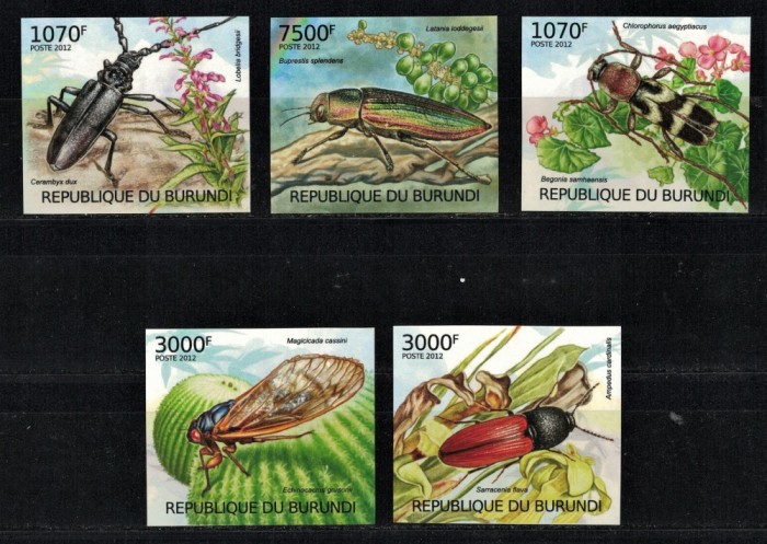 BURUNDI 2012 - Insecte / serie completa MNH