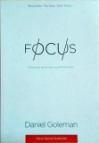 Daniel Goleman - Focus. Motivatia ascunsa a performantei