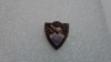 Insigna AJVPS Caras Severin