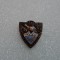 insigna AJVPS Caras Severin