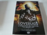 Lovebugs, dvd, Pop