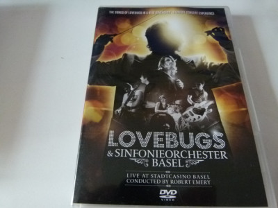 Lovebugs, dvd foto