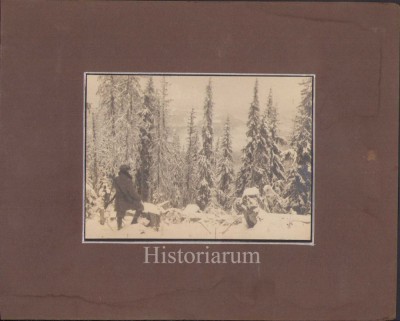 HST P2/199 Poză v&amp;acirc;nător cu pușcă iarna &amp;icirc;n pădure perioada interbelică Ardeal foto