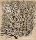 The Beautiful Brain: The Drawings of Ramon y Cajal