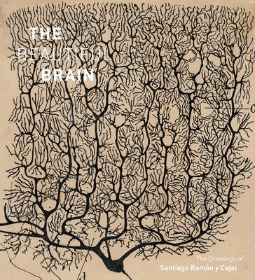The Beautiful Brain: The Drawings of Ramon y Cajal foto