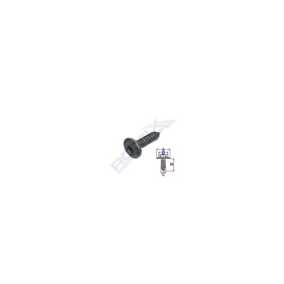 SURUB FIXARE UNIVERSAL TORX 4.2X16MM SET 100 BUC 61755 foto