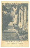 4212 - BOCSA MONTANA, Caras Severin, Sanatorium, Romania - old postcard - unused
