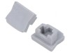 Set Obturatoare Argintii pentru Profile LED - 10 buc.