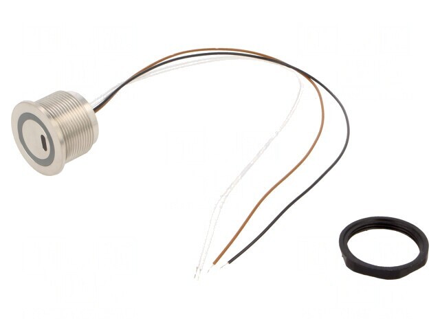 Comutator Anti-Vandalism IP67 SPST 0,1A 42VAC/60VDC
