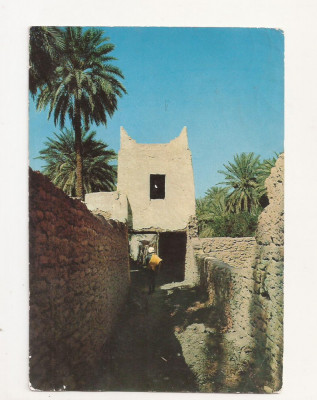 FA5 - Carte Postala - LIBIA - Ghadames foto