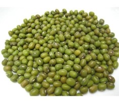 Fasole de bangladesh MUNG - VIGNA RADIATA -5 seminte pentru semanat foto