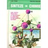 Lucia Pirvan, Constanta Niculescu - Sinteze de chimie. Ghid pentru