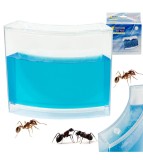 Acvariu educativ cu gel pentru furnici