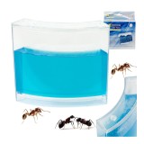 Acvariu educativ cu gel pentru furnici
