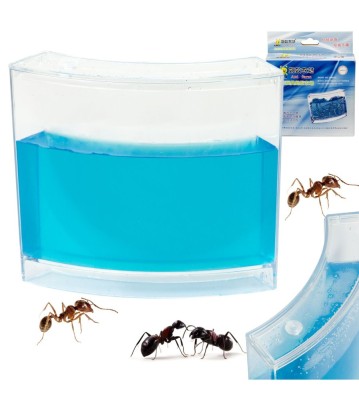 Acvariu educativ cu gel pentru furnici foto