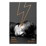 Cumpara ieftin Why Bowie Matters