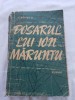 C.ignatescu-dosarul lui ion maruntu