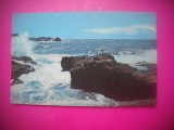 HOPCT 8446 POINT LOBOS-SOUTH OF CARMEL -SUA -AMERICA DE NORD -NECIRCULATASEATTLE WASHINGTON -, Necirculata, Printata