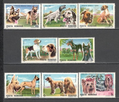 Romania.1990 Expozitia mondiala canina Brno-Caini XR.1023 foto