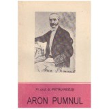 Petru Rezus - Aron Pumnul - 127619