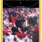 Balciul desertaciunilor (2 volume) - William Thackeray