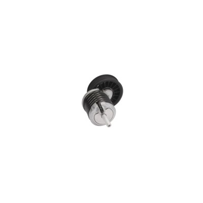 Intinzator curea AUDI A6 4B2 C5 BTA E2W0020BTA foto