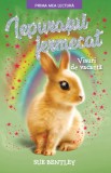 Iepurașul fermecat. Visuri de vacanță