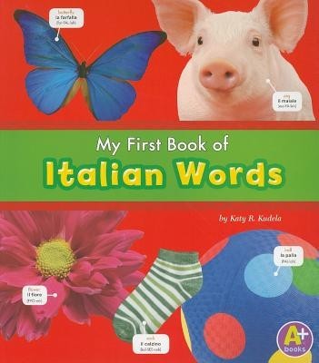 My First Book of Italian Words foto